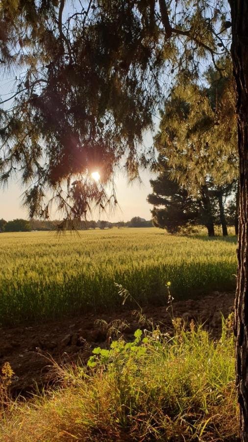 Masseria Vivi Il Salento Σάντα Κατερίνα Εξωτερικό φωτογραφία
