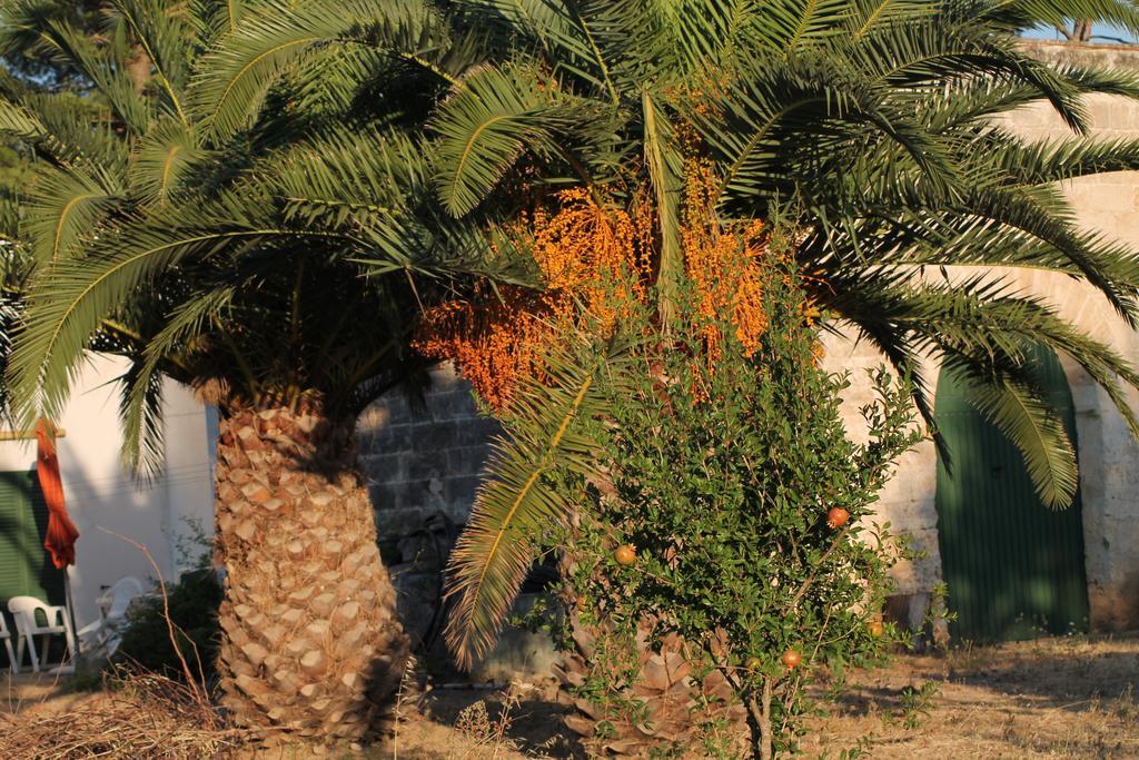 Masseria Vivi Il Salento Σάντα Κατερίνα Δωμάτιο φωτογραφία