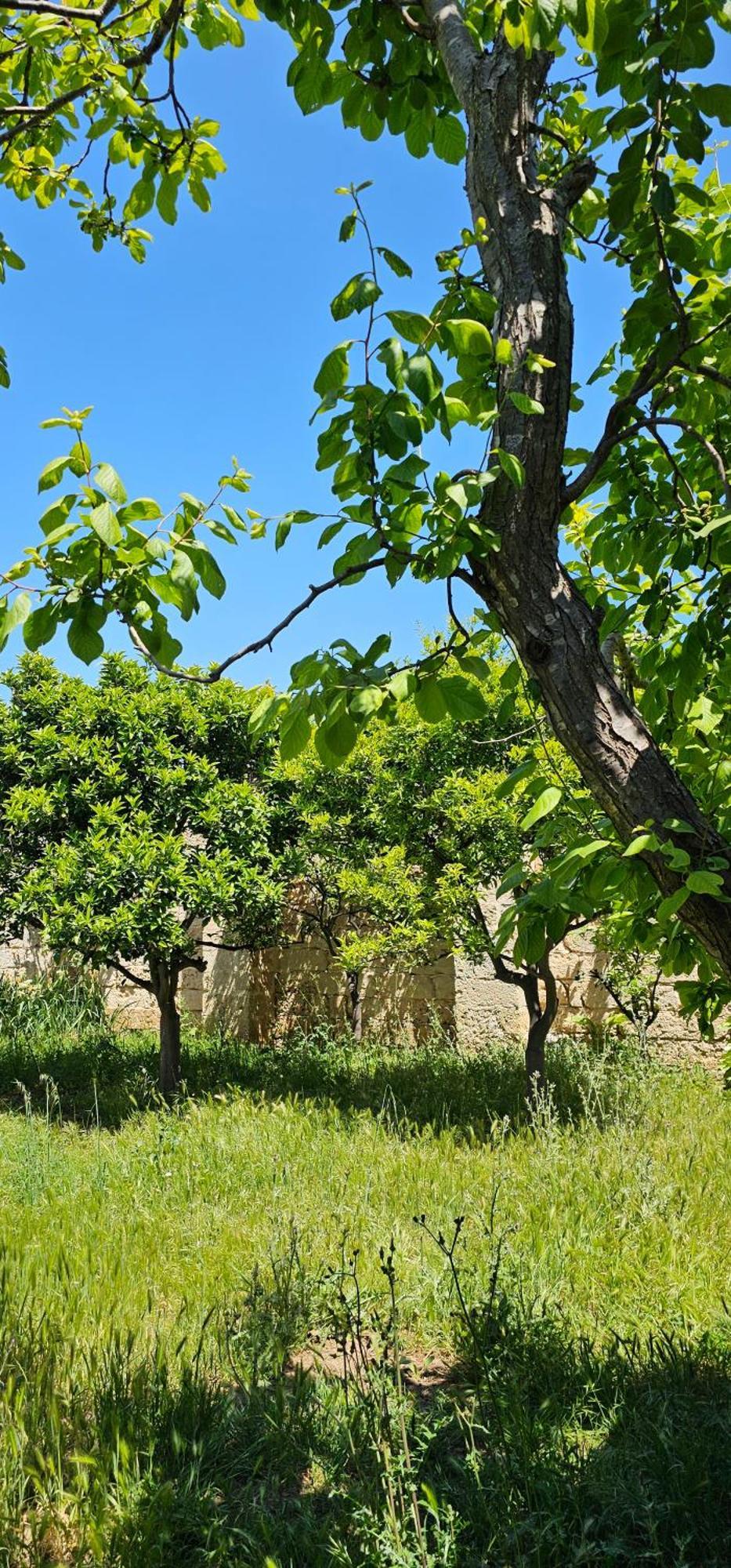 Masseria Vivi Il Salento Σάντα Κατερίνα Εξωτερικό φωτογραφία